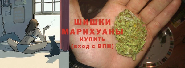 2c-b Богородицк